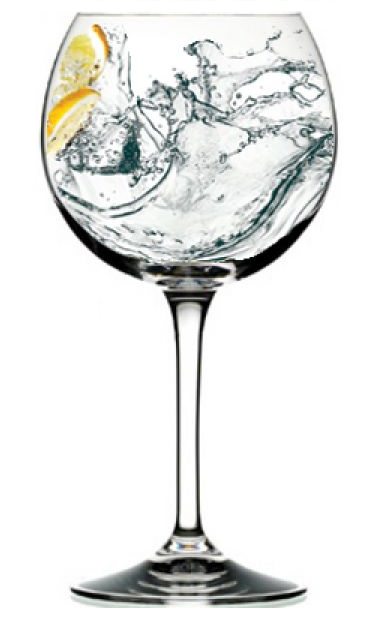 Verre à gin tonic