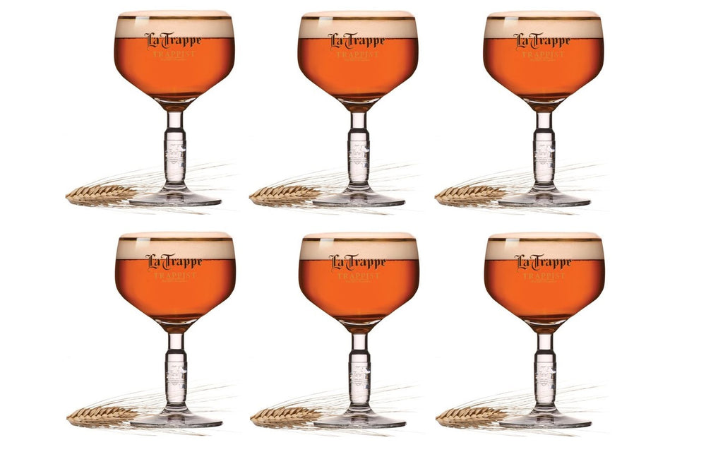 La Trappe Bierglazen Bokaal - 250 ml - 6 stuks