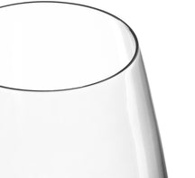 Leonardo White Wine Glasses Tivoli 450 ml - 6 Pieces