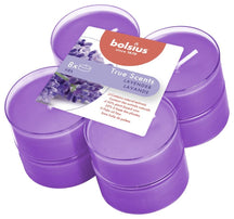 Bolsius Maxi Wax Lamps True Scents Lavender 8 Pieces