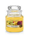 Yankee Candle Geurkaars Small Tropical Starfruit - 9 cm / ø 6 cm