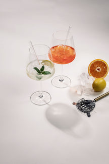 Schott Zwiesel Gin Tonic Glasses Taste 4-Piece - with straws and brush