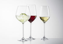 Schott Zwiesel Wine Glass Set Fortissimo 18-Piece