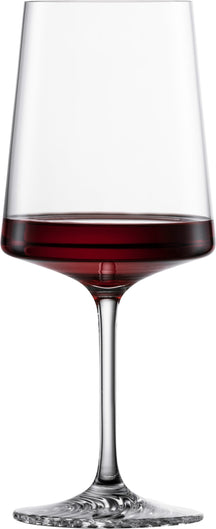 Schott Zwiesel Wine Glasses Allround Echo 572 ml - 4 Pieces