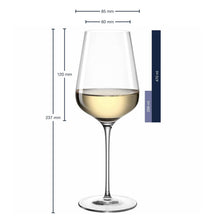 Leonardo White Wine Glasses Brunelli 470 ml - 6 Pieces