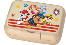 Koziol Lunchbox Candy Paw Patrol Cream