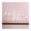 Iittala Champagneglazen Essence - 210 ml - 2 stuks