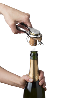 Vacu Vin Corkscrew Champagne Bottle Opener - Silver