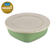 Koziol Food Storage Container Connect Green 21 x 21 x 7 cm / 1.3 Liter