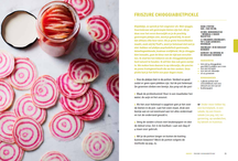 Cookbook - Ensuring and fermenting Bible - Simone van Thull