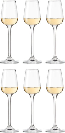 Leonardo Grappa Glasses Tivoli 100 ml - 6 Pieces