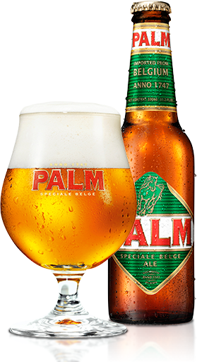 Palm Bierglas - 250 ml - 2 stuks