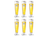 Warsteiner Beer Glasses on Foot 300 ml - 6 Pieces