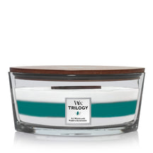 WoodWick Scented Candle Ellipse Icy Woodland Trilogy - 9 cm / 19 cm - Scented Candle in Glass - Wooden Wick