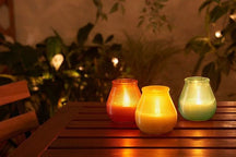 Bolsius Outdoor Candle / Patiolight - True Citronella - Yellow - 9.5 cm / ø 9 cm